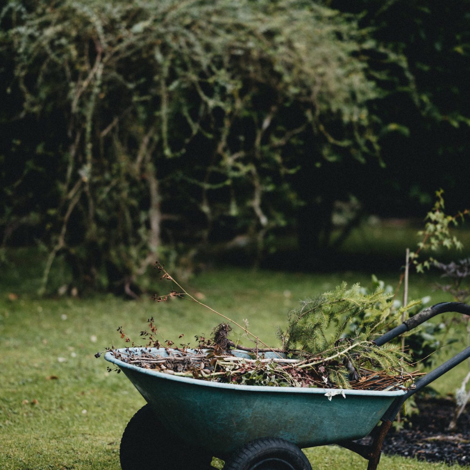 annie-spratt-j8xUK4ijoj0-unsplash annie-spratt-j8xUK4ijoj0-unsplash